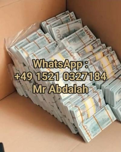 Investor seeking investment opportunities