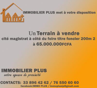 terrain a vendre  cité magistrat titre foncier