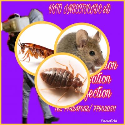 Produit insecte