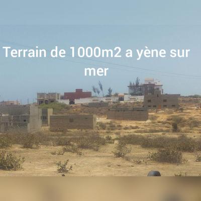 Terrain de 1000m2 a yène 