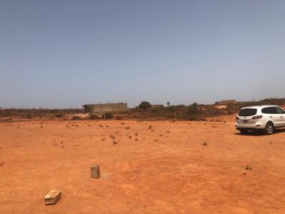 Terrain de 6000m2 a Sebikotane 