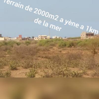 Terrain de 2000m2 a yène 