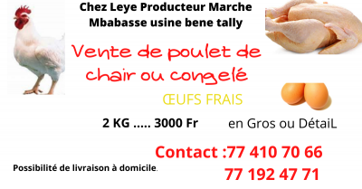 Vente de poulet de chair 