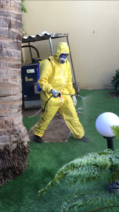 Insecticide 