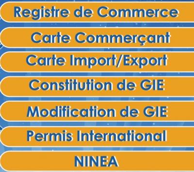 Registre de commerce/ Carte import Export / Ninéa