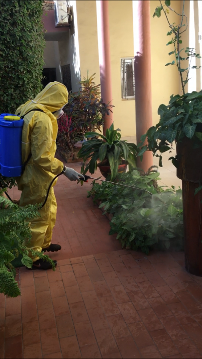 Insecticide 