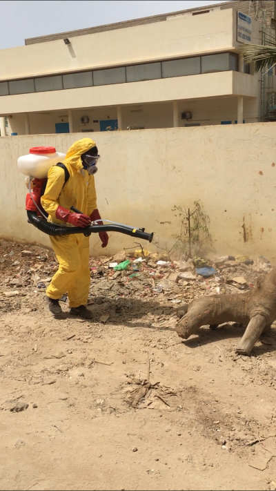 Insecticide 