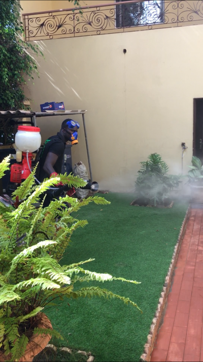 Insecticide 