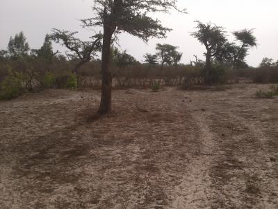 Terrain Agricole de 4245 m² à Darou Alpha 