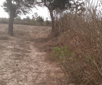 Terrain Agricole de 4245 m² à Darou Alpha 