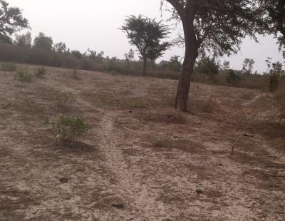 Terrain Agricole de 4245 m² à Darou Alpha 