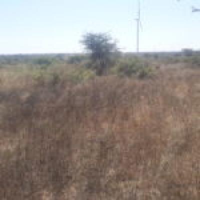 Terrain Agricole de 2,97 hectares à Taïba Ndiaye