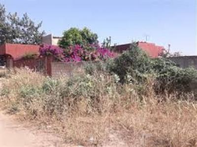 Terrain de 300m2 a Toubab Dialaw 