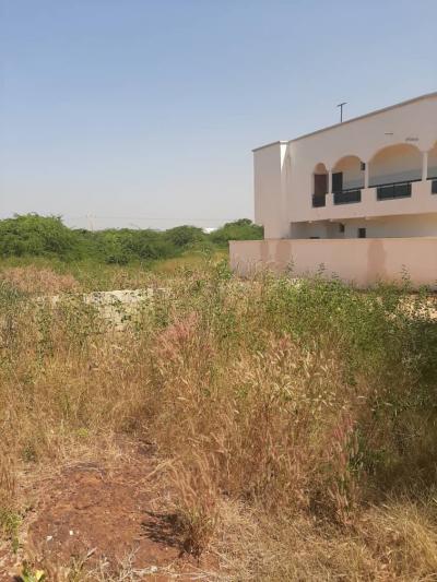 Terrain de 1000m2 a Toubab Dialaw 