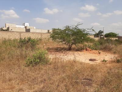 Terrain de 400m2 angle a Toubab Dialaw 