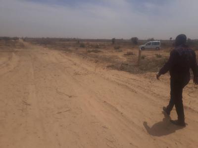 Terrain de 1ha a Toubab Dialaw 