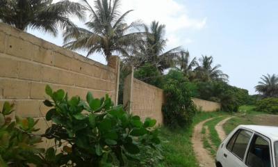 Champ de 3 hectares a mboro 