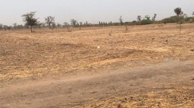 VENTE DE TERRAIN AGRICOLE