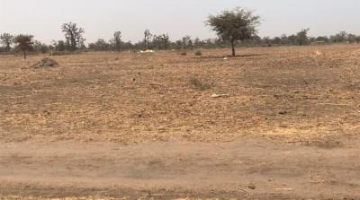 VENTE DE TERRAIN AGRICOLE
