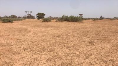 VENTE DE TERRAIN AGRICOLE