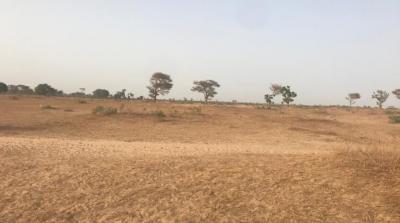 VENTE DE TERRAIN AGRICOLE