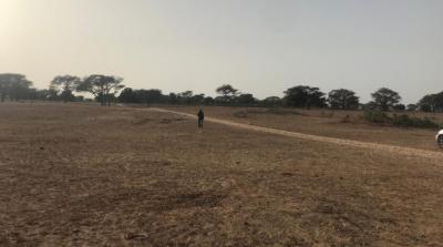 VENTE DE TERRAIN AGRICOLE