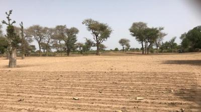 TERRAIN AGRICOLE 10 HA
