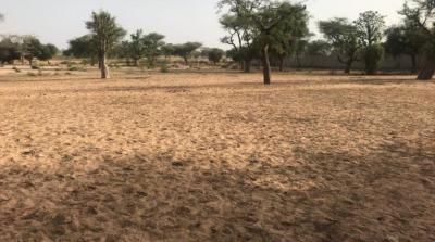 TERRAIN AGRICOLE 2.37 HA