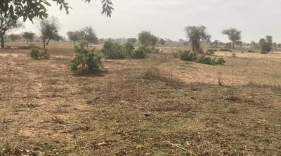 TERRAIN AGRICOLE 7.05HA