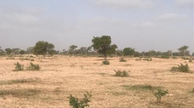 TERRAIN AGRICOLE 7.05HA