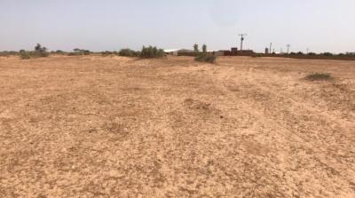 TERRAIN AGRICOLE 1 HA
