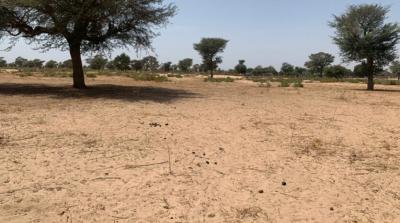 TERRAIN AGRICOLE 3021m²