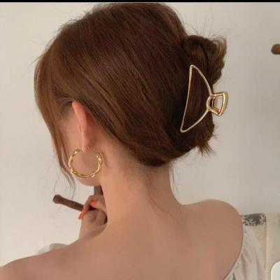 Pinces à cheveux 
