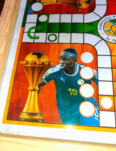 Ludo pro