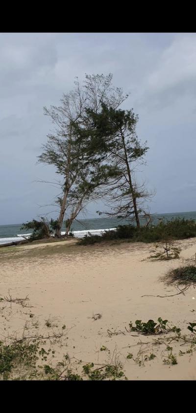 Terrains pieds dans l'eau 