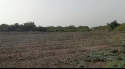 Terrain de 3 hectares à Bambilor 