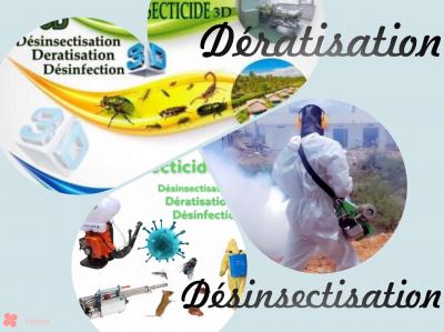 Désinsectisation 