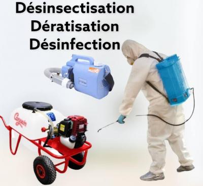 Désinsectisation 