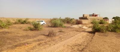 4 terrains jumeles de 225 metres carres a saly 