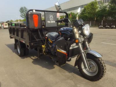 Tricycle 300cc