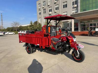 Tricycle 300cc