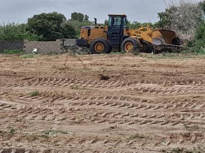 Terrains a Bambilor