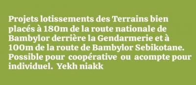 Terrains a Bambilor