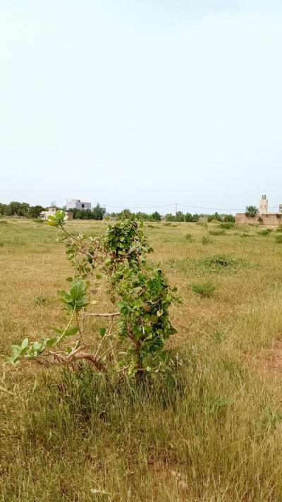 terrain de 150 metres carres a dakar