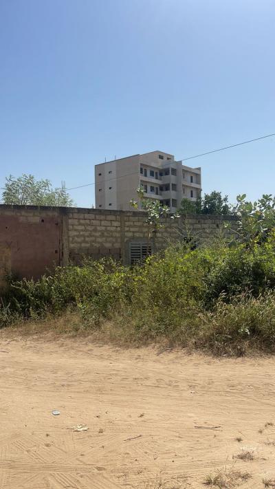 terrain de 500 metres carres a saly