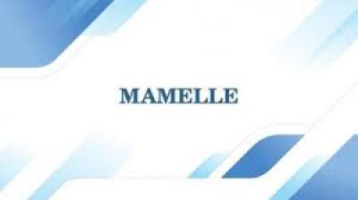 TERRAIN AUX MAMELLES