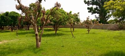Location verger 7000m² et poulailler 2000 poulets