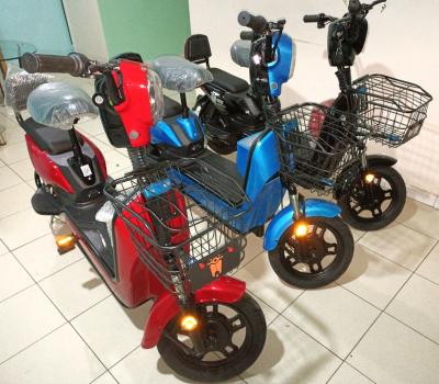 Moto Électrique 2 places 