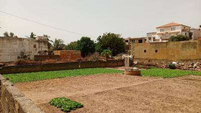 terrain de 500 metres carres a mbour