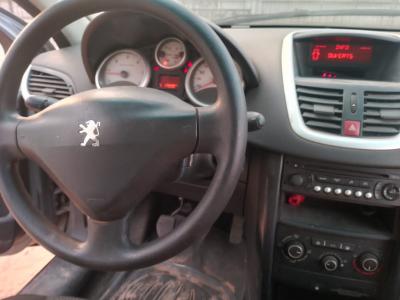 Peugeot 207sw Break 2007